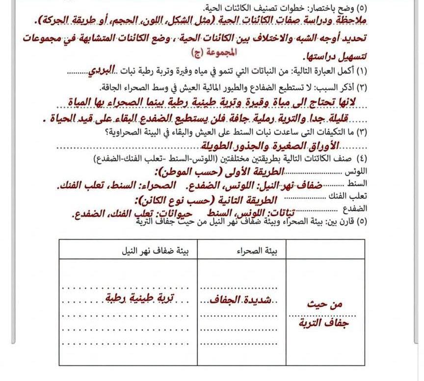 حل تقييم الاسبوع الثاني2 حل تقييم الاسبوع الثاني2